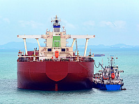 alt image